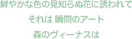 鮮やかな色の見知らぬ花